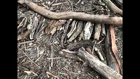 Interview with Christopher Noel