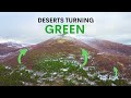 Scotlands deserts are turning green  heres why