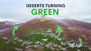 Scotland's Deserts are Turning Green  here's why