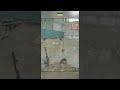 Schlaf gut, Iwan – was in der Ukraine wirklich passiert