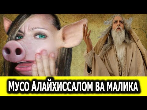 МУСО АЛАЙХИССАЛОМ ВА МАЛИКАНИ ЧУЧКАГА АЙЛАНИШИ