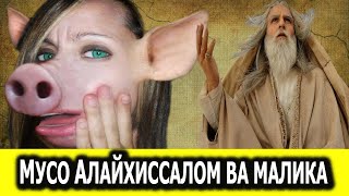 картинка: МУСО АЛАЙХИССАЛОМ ВА МАЛИКАНИ ЧУЧКАГА АЙЛАНИШИ