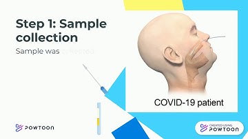 FET COVID-19 BIOSENSOR