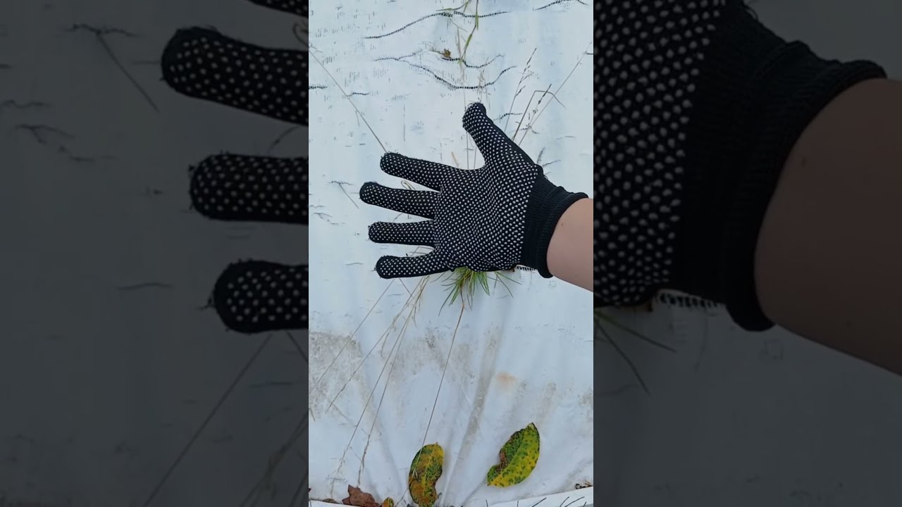 When Your Hand Becomes Art Shorts