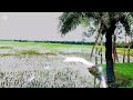 4k Ultra HD | Nature | Natural scenes 4k #nature #natural #scenes #trending #viral