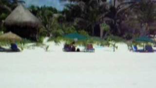 boca paila tulum mexico