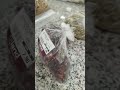 #laboratory