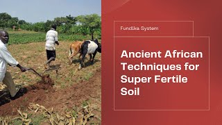 Download lagu The Fundika System of Agriculture: Ancient African Farming Secret Makes Modern Soil SUPER Fertile!