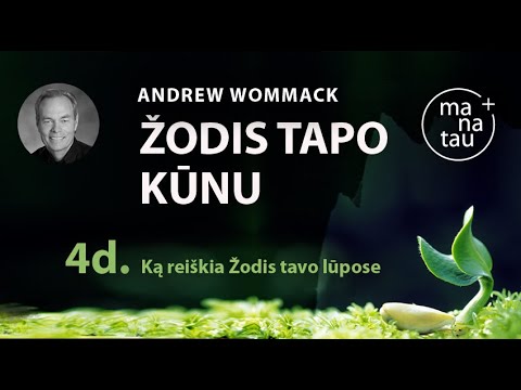 Video: Ką reiškia žodis pagrindas?