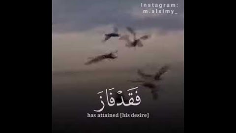 تلاوة مرئية بصوت القارئ المبدع _مؤيد المزين.