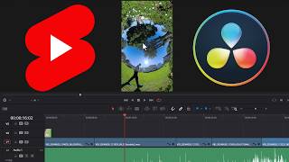 How to Make YouTube Shorts in DaVinci Resolve (step by step guide) screenshot 4