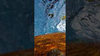 Under Water 🌊 | Deep Feel Lofi Vibes 💙