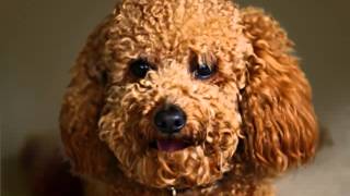 Capture 20140726 3