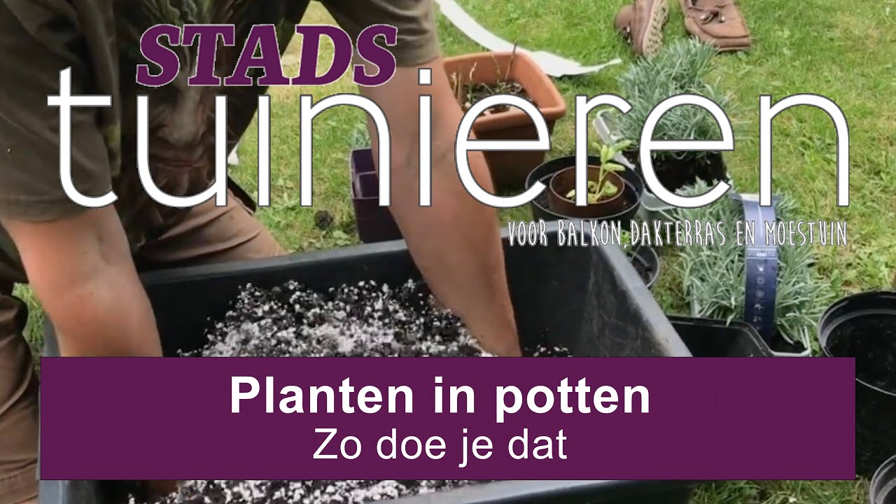 Stadstuinieren - Planten in potten - zo doe je dat op je balkon, terras of daktuin 