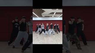 Ryujin Standing Next To You Dance Practice