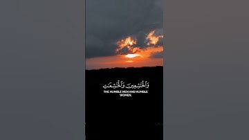 القران الكريم 🥀#اكسبلور #المصحف #subscribe #حالات #share #support #راحة_نفسية #لايك #الرحمن #viral