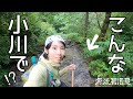 こんな細い沢に大物がいた！【イワナがあふれる小川①】
