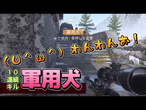 【COD:V(β)】SRで『軍用犬』(10キルストリーク)呼んだ（ゆっくり実況）[PS5]【Call of Duty: Vanguard】