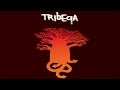 Capture de la vidéo Tribeqa - Better Days