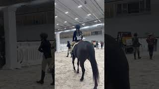 Experience my weekend at WEC in Ocala, FL! #horseriding