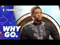 Why Go. | Black Panther