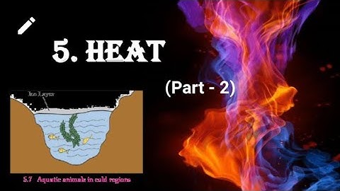 HEAT Class 10 SSC|Lecture 2 Anomalous behaviour of water|Maharashtra board|Master