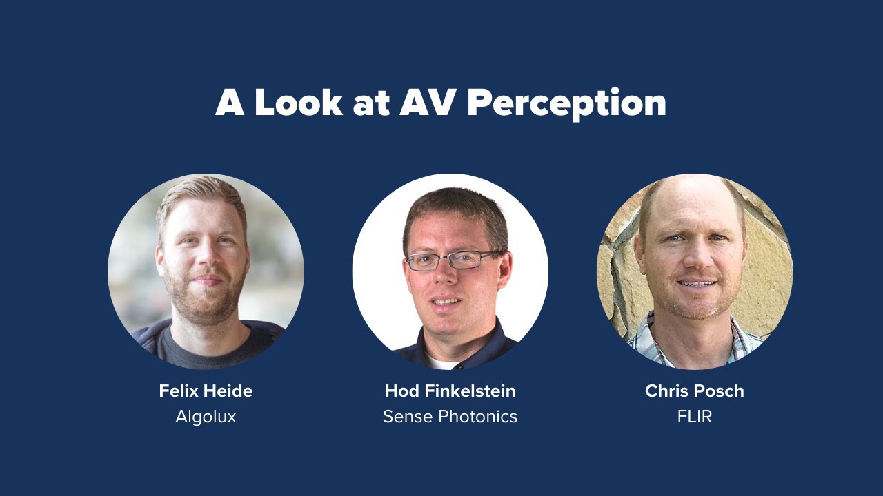 Perceptive Panel PAVE’s Virtual Panel