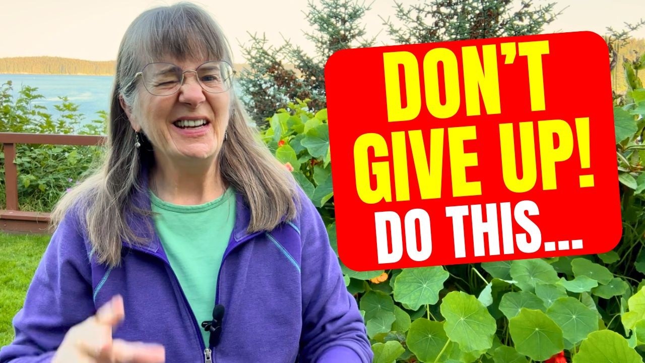 Упрощенное планирование сада (чтобы вам не приходилось переделывать проекты)