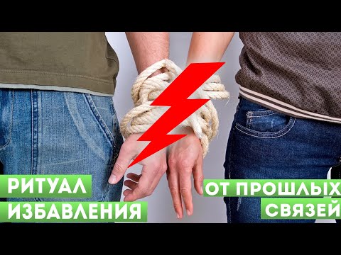 Бадьян: полезные свойства и противопоказания, применение