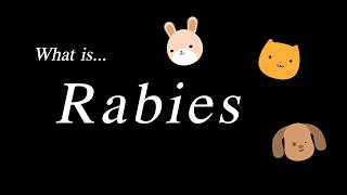 ถามไปเรื่อย... ตอน Rabies Diary