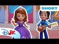Meet Prince Zane and His Magical Mandolin! 👑🎼 | Sofia the First: Magical Friends | @disneyjr