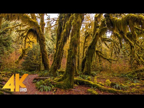 Most Beautiful Places
