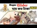 সুগার গ্লাইডার এর দাম কত ২০২৫ | Sugar Glider Price In Bangladesh 2025 | #pets #sugarglider #birds