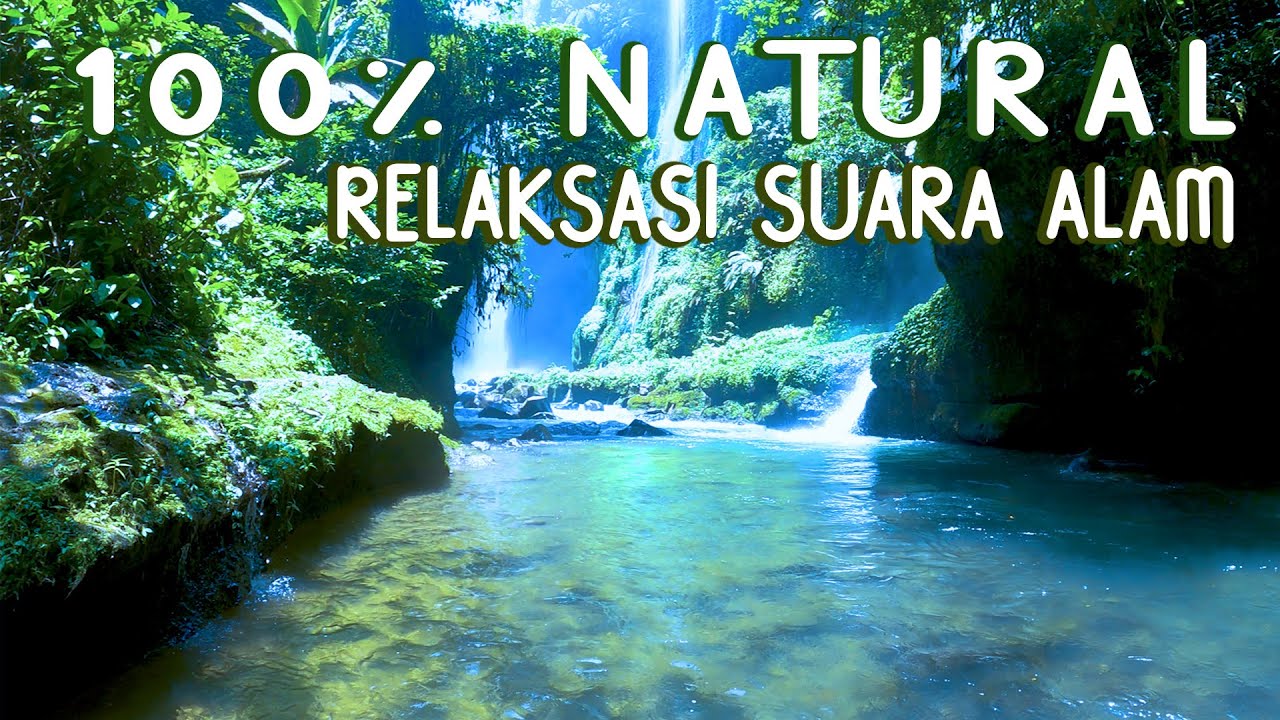 РЕЛАКСАЦИЯ ПРИРОДНЫХ ЗВУКОВ ПТИЦ И ЗВУКОВ ВОДОПАДОВ В ЛЕСУ