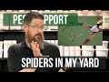Why do I Have Spiders in My Lawn? | Pest Support