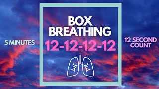 Guided Box Breathing Exercise to help reduce stress levels // 12-12-12-12 for 5 minutes