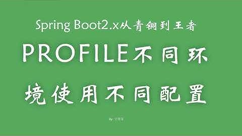 3 7 profile不同环境使用不同配置 SpringBoot从青铜到王者系列 教程