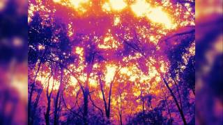 MaroKamera_Tai mano kelias(About ,,The Venus Project,,)