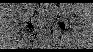 Birth of a Sunspot in the surface of the Sun (Simulation)