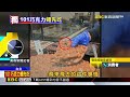 獨家》 瑞士頂級巧克力Laderach全台首店 驚見蒼蠅任意飛@newsebc