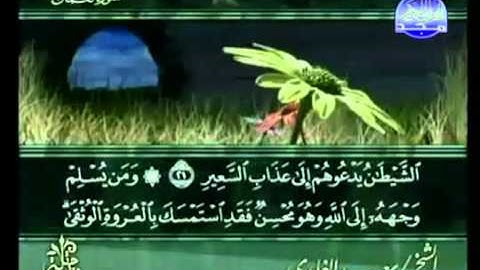 سورة لقمان بصوت القارئ سعد الغامدي