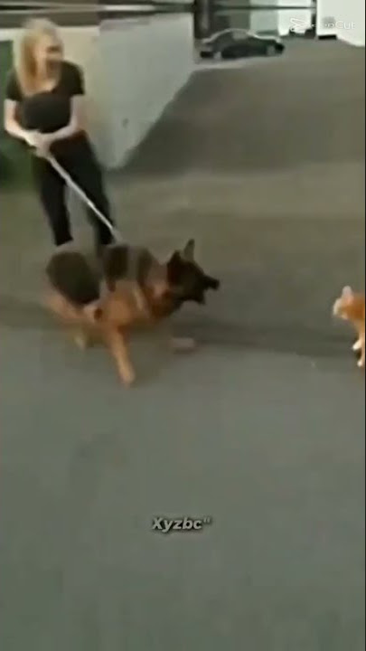 oyen nih bos senngol dong😎😎