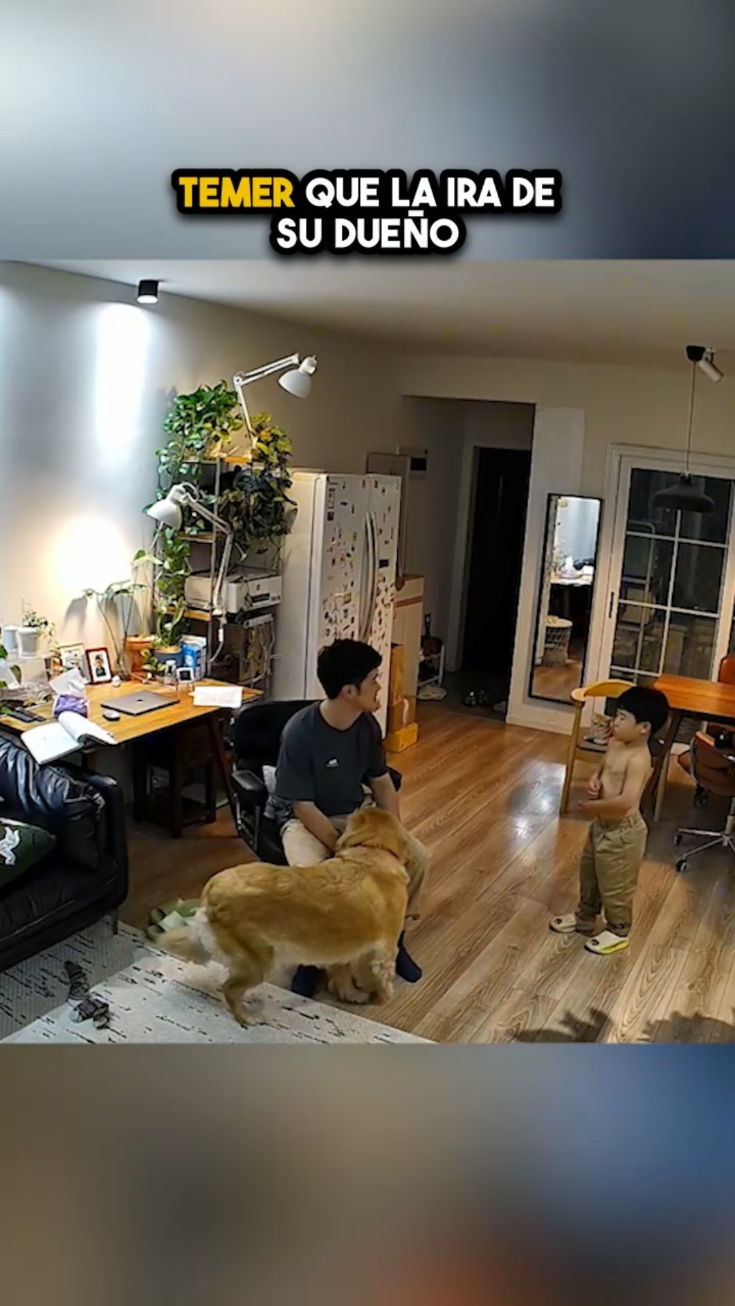 El perro que detuvo la ira de su dueño ??