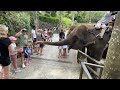 Зоопарк на Бали. Мои впечатления.