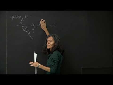 Hochschild (co)homology and