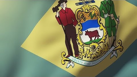 4K delaware flag waving in the wind. Looping sun rises style. Animation loop Stock video