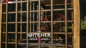 The Witcher 3 Unmarked quest : The Most truest Basilisk [Full Gameplay]