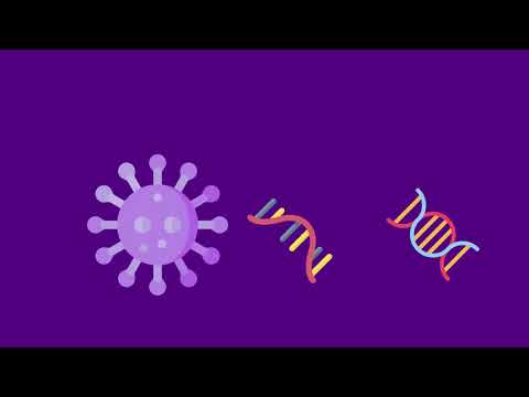 Virusi vs. bakterije