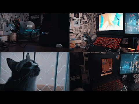 capa do vídeo mais recente do canal xuhlis