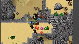 Tibia Macabra 112 Massacre em Ank